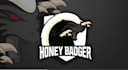 make a stinger logo transition with sound fx for twitch, kick, youtube