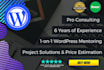 do digital consulting, helping and tutoring pro wordpress