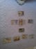 give you a decisions tarot reading