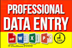 do all sorts of data entry
