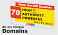 provide manual 70 niche relevant blog comment low obl
