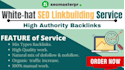 provide white hat SEO backlinks,manual link building service