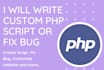 fix bugs or create any custom PHP script