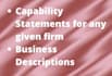 do company business description and capability statements