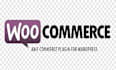 do best woocommerce customization for your ecommerce store