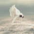 write poetry and quotes for you