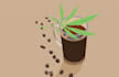 draw sketch to vector or image illustrations professionally