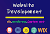 do website development with laravel