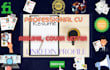 write your professional cv, resume,  linkedin profile