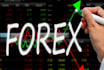 forex promotion, bitcoin ico, cryptocurrency, telegram marketing
