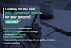 write best and catchy SEO articles for your website