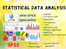 do spss statistical data analysis and reports