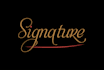 design a unique and modern signature logo design
