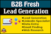 provide b2b lead generation and targeted lead generation