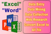 do data entry in 24 hours, excel, word, docs, spreedsheet
