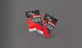 design a professional quality flyer