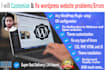customize and fix wordpress website problems or errors