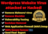fix wordpress hacked site, remove malware, clean and secure wordpress within 24h