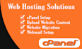 setup cpanel, fix issue, web transfer, dns, webmail, hosting, domain