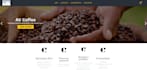 create you an outstanding website