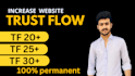 increase trust flow tf 30 plus skyrocket of your website