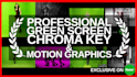 professional green screen chroma key, rotoscoping and vfx