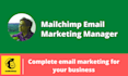 be your mailchimp email marketing campaign manager