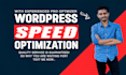 do wordpress speed optimization improve pagespeed insights