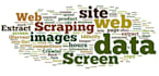 do web scraping using python splash scrapy