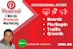 do professionally and manually pinterest marketing manager