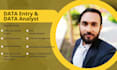 do data entry and data analyst
