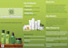 design a professional and eye cathing advertising brochure