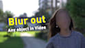 professionally blur faces or any object in video