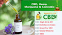 provide guest post on cbd and marijuana blog