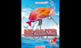 do an awesome professional business flyer design