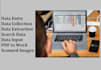 do data entry, data input, search data and data collection