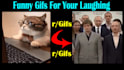 create funny or  gifs compilation videos for your channel
