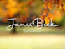 create unique, handwritten, text, signature logo