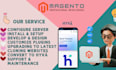 setup, install, develop, design, customize, upgrade magento