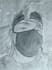 turn your selfies into drawings