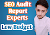 website SEO audit report