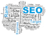 do yoast SEO optimization