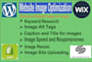 do image SEO for wordpress, wix, squarespace, and shopify website