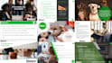 make you presentation in power point