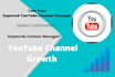 create and customize full youtube channel manager