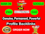 200 pr9 da 90 dofollow profile backlinks SEO service