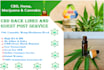 do 10 guest post links on cannabis, cbd site with do follow backlinks