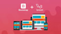 develop full website using react and laravel