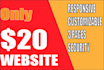 develop and design wordpress website for you
