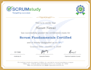 make you six sigma white belt certified sswb